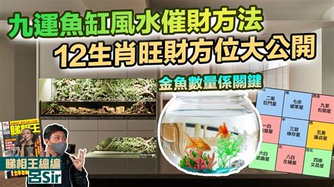 坐北朝南魚缸|【魚缸 方位】魚缸擺放巧妙，財運亨通！揭密魚缸方位助旺運勢。